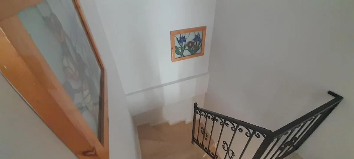 Villa Palm Tree Ölüdeniz